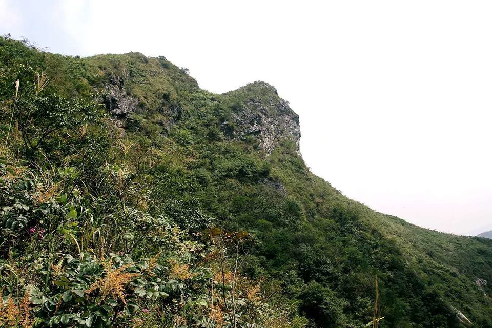 Hodwn247XYmEBi8puCxe9ifWNDSkheh13gDHScP4TbmfbwnK7SGUcEuTkag1jFg4