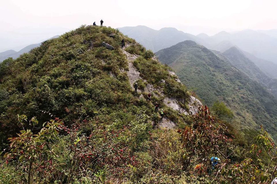 tjWibmCOoadhlj_vZ6nPnp7nFx5WvWlZrrIPQfCytkNAP08iM9TV0ieDcuCRhZ-L