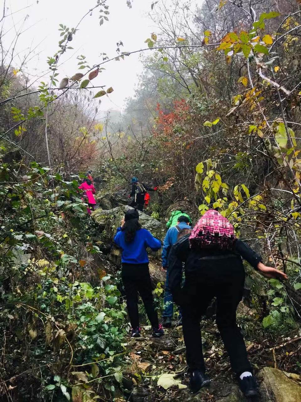 aWh2mOMARgt6vpWnoR_EHObZo_KdH5H64elzyCBJXtiFXMU649DLU2a5WLIiDKTo