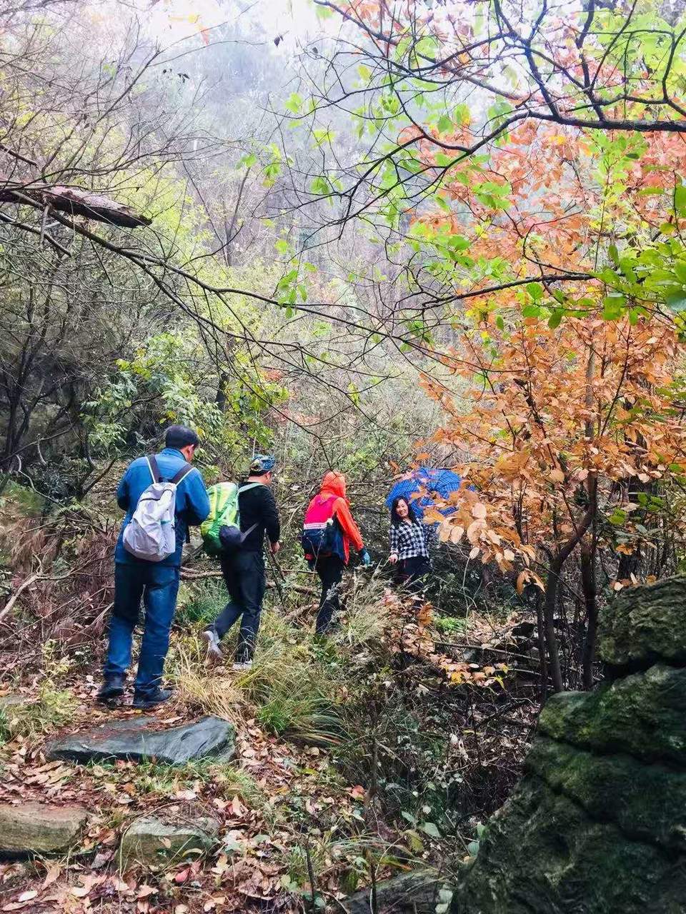 306PAhojZyqWhz5PwqajmAH3CyCA5cHdieS7pkC2PqisBZlPGbPz4abKmbYk54TT