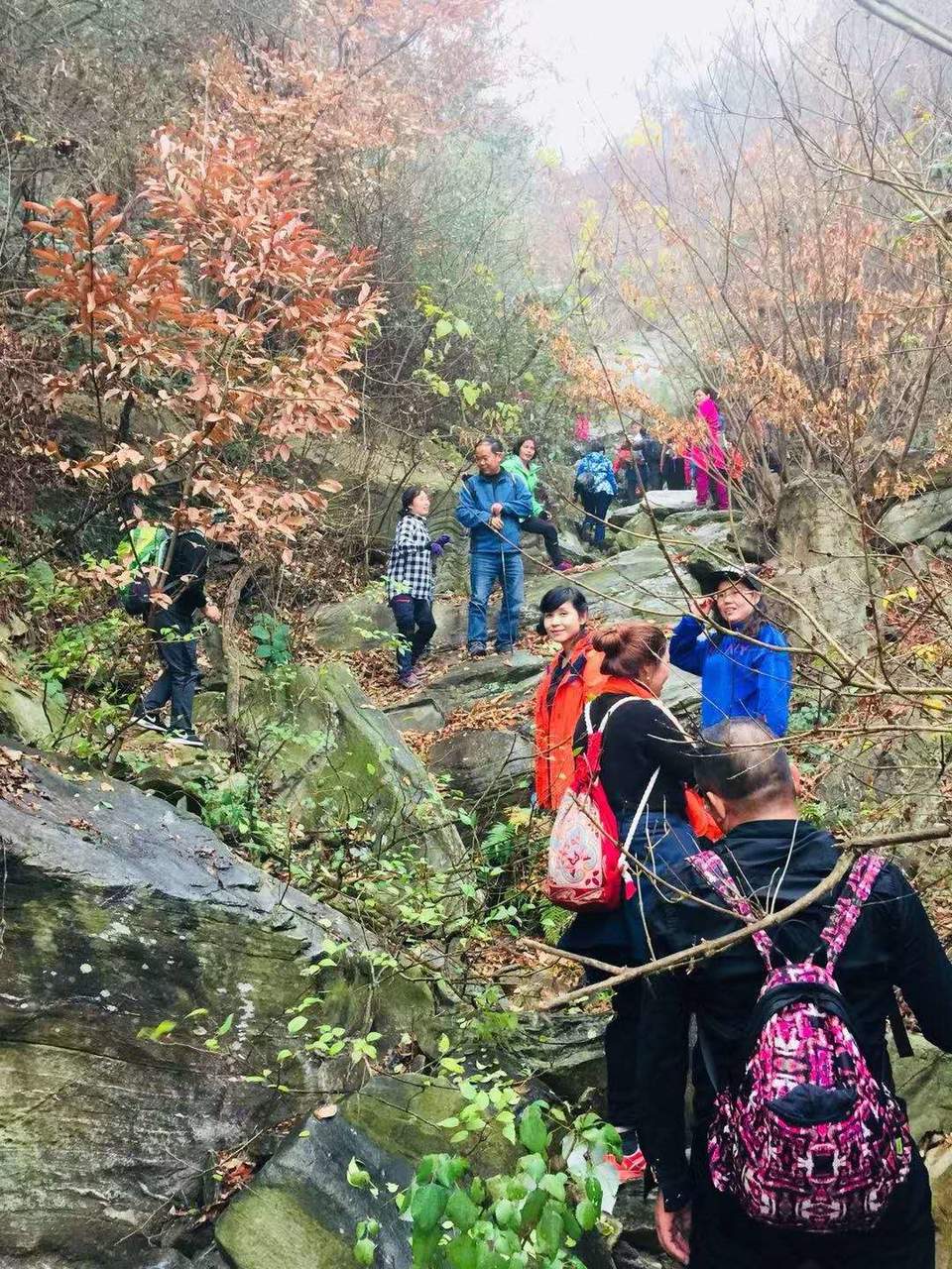 mh93dwyt5oo3r7FQZJikMsr239gi7V-0CjXmZdv5_U7B7C-R6qhgRnVta2b29DsB