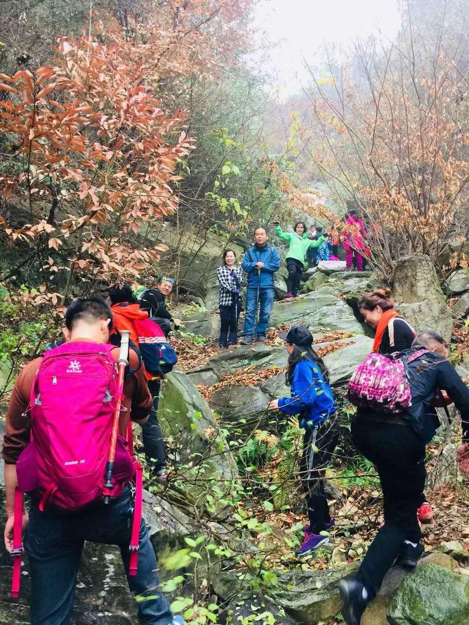 2lffV8TgvQszXobLUYi6G11cyaXMpNKia4Vwaf31F57-D5gmih1ipzFQePdCesXD