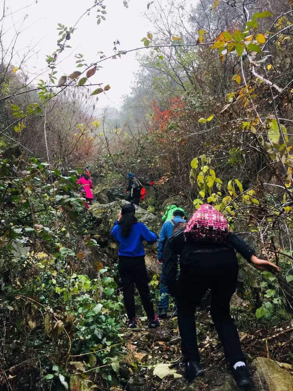 kW7XUUl7IjamN2BOMuqj9mXVFNRRKws6W6UcmkOf2QBctYtuvgqCA54-EHGIEsHH