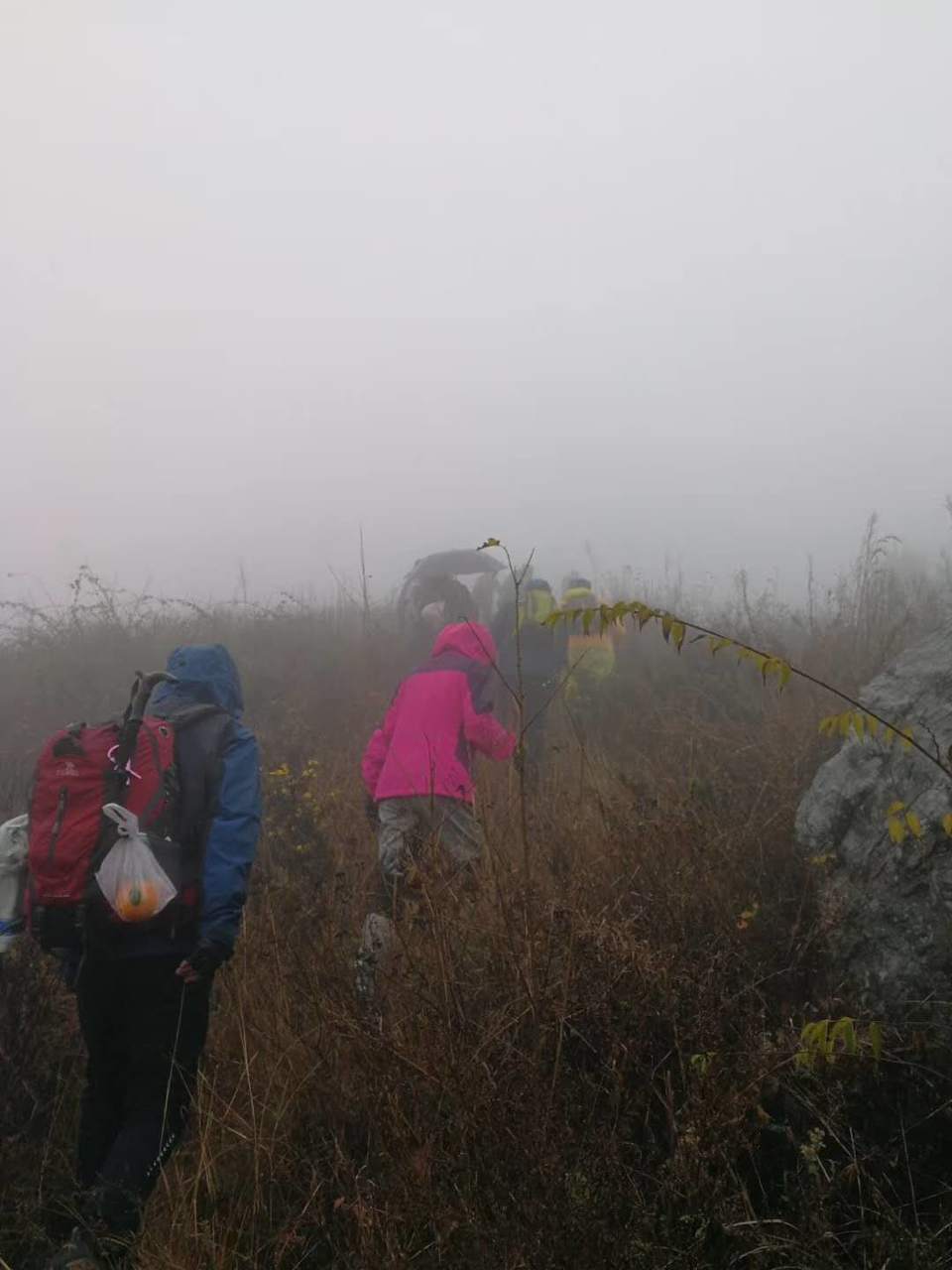 yPnbiB6ODVC60ZuJ0SLsbtL5Nb-blAc5zZbk9ZmoY--nnGH5Us_grDlHt04D0Sds