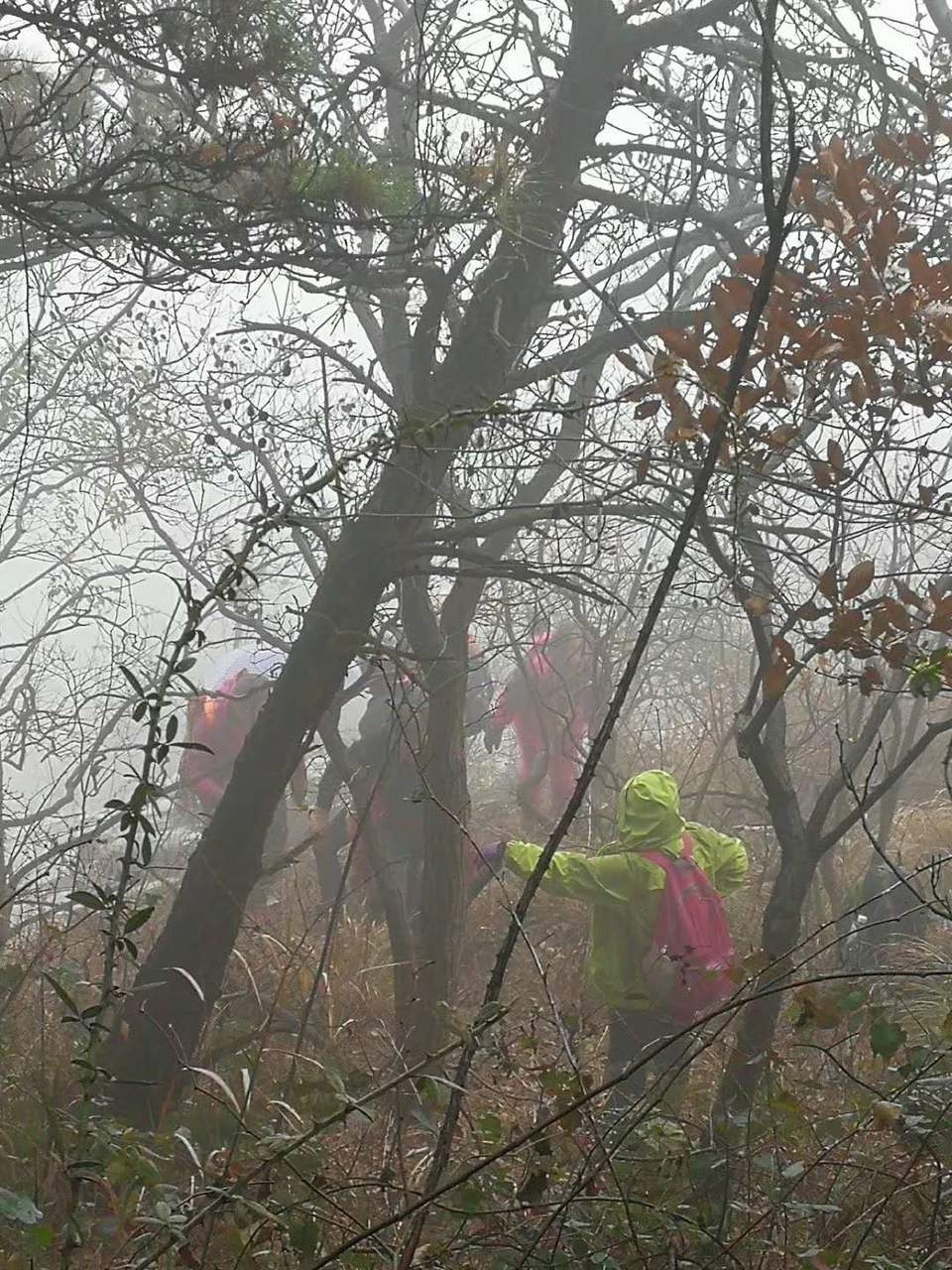 wL7RfqTW9e1NsnBTZ1RpjYSGzhQDcbUXvLexBHa1UDqfyubDjK6aQrSYc-l2QMSJ