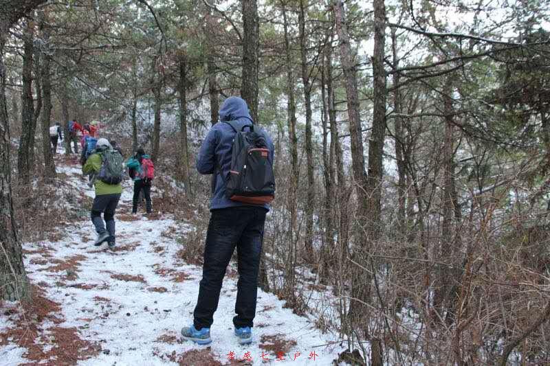 41WRX4a_vROJZ-RfuKXZp_pBjrIiEatTRgdYtrQWfW5BPVz9x7WBvJCxtJ3g4Rfy