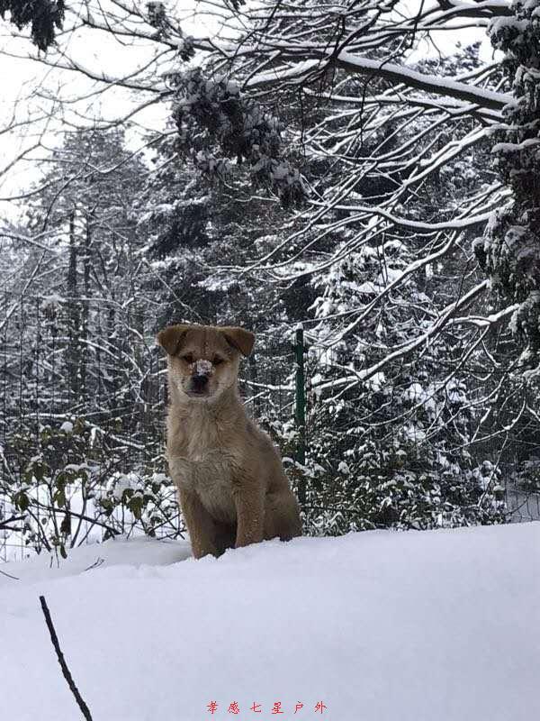 TRXrjQ7KdEO7yCCTb9ASX5WtjLqWBIFBvcv70TicGnS0v5AYTbeyqa7UT6TDlhpP