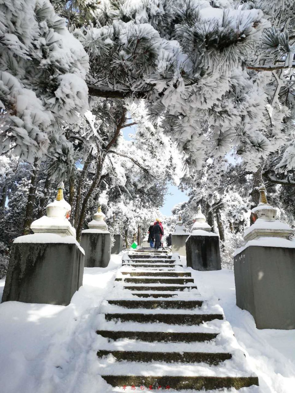 cnAJjnTbFRriYx3e3TCcrvJ6ALm6u52IpL-AheQE-HPf8WqoyifQkMeg2Kl1dpdl