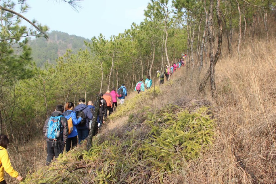 D6idQ4885XLTgPH3xZDoJqN_YvdaaZ8caZ-eeD8AH3J68kPrf2kPbTL9JNzQ5JO0