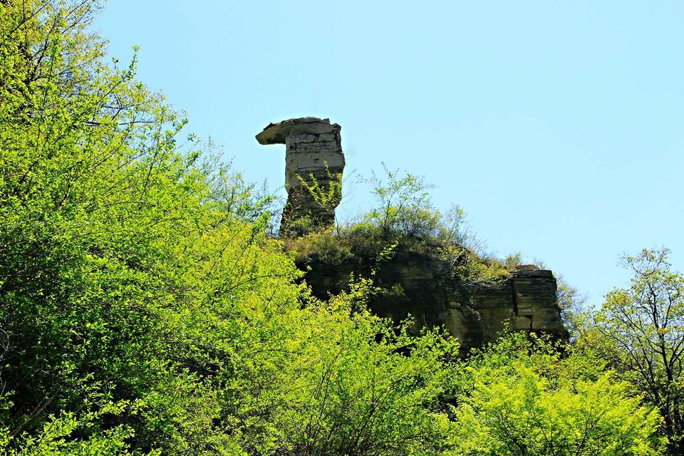 hKDYaYlqgmE76UVou5iCpxKLTPda9GFYoHA6Ws1X9LzQcowxJaiEfOTGMMBsVm69