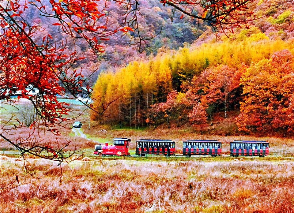 ZNftXU6VwsLFQBQQSvXsI-pW9znw92PDsNVbrSGYenLEEGEoEamu9PulAdHPi2sK