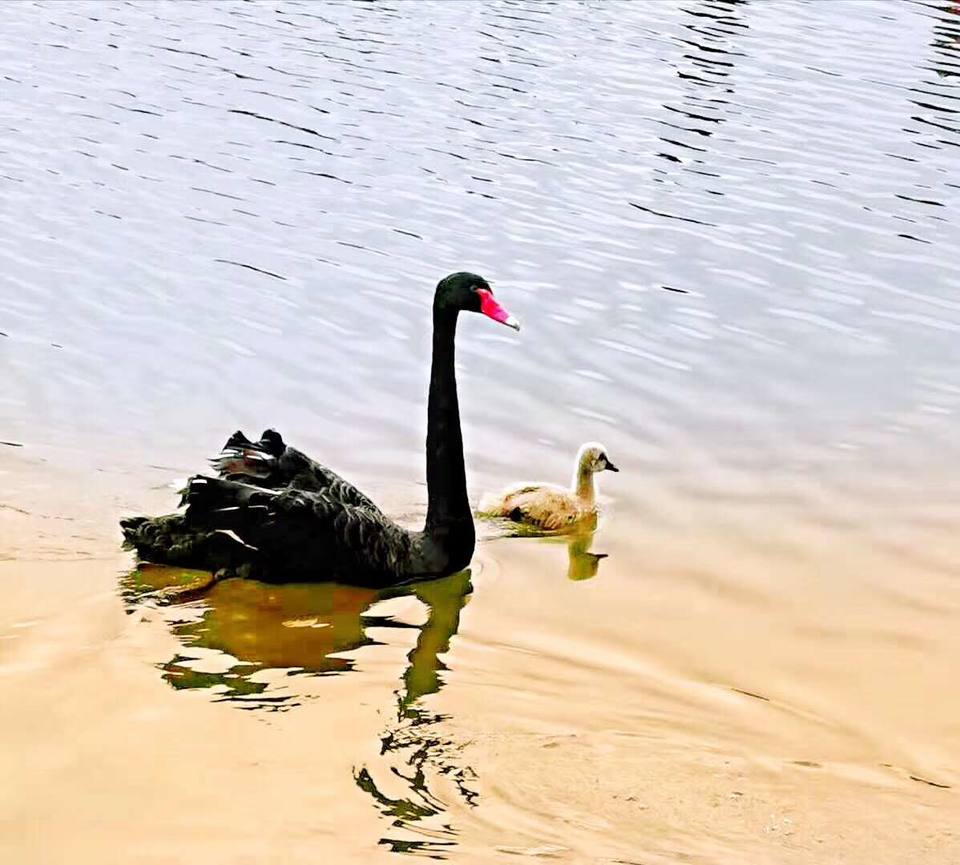 tF27caxM99uLO1JnT6mffYO0xXJBoGsCS944kXJCjaLDa2ZPyG73gBYul9jDP0NJ