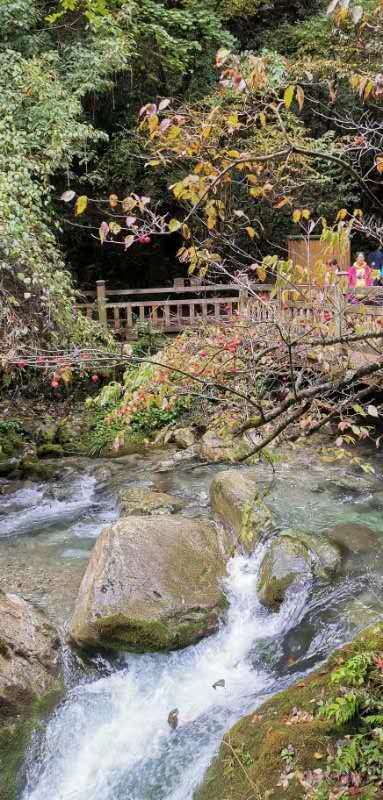 R1qzUvBA2lNtpn4BCEco8JEUpiUCK8s2JuIrbpPPIY8pd4rRG-iTBFU0e9I15d-G