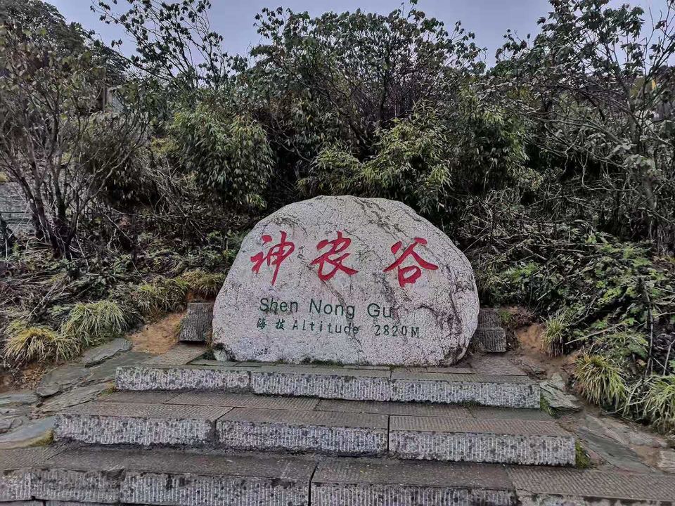 zIoYfCYdLOZp30TFdLSq3Itrhn4677rFmjarX5SCi4F5CogpVwpDpoA_tWwOhFOd