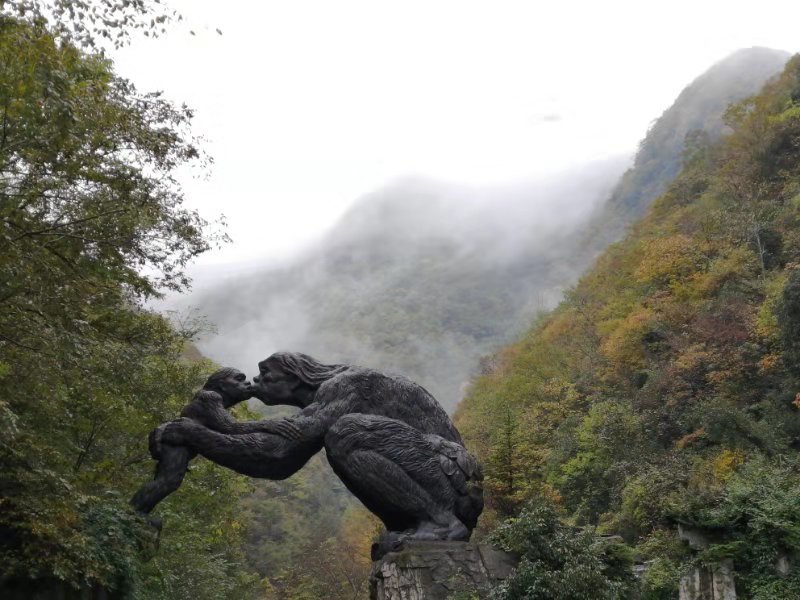 PuC7q4iI2ZkunRa92l3voWc77gFIn-xZ_F10yxz9OU4t1_ySmxBRqm5DDrSV0L82