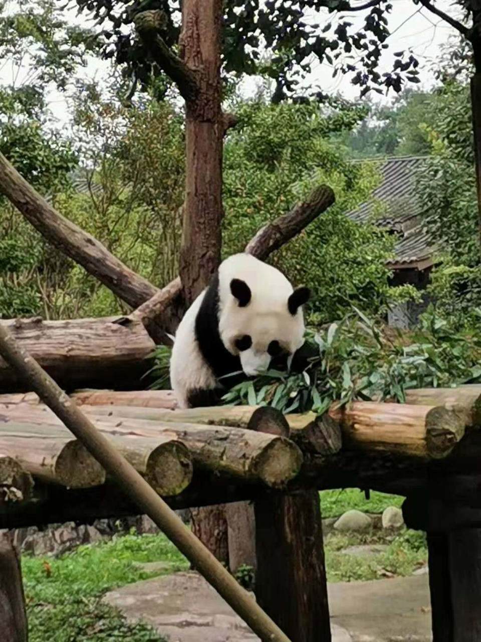 ve6y9mGh7W3nmMg_tHoqVS5M_OtgBqi1dGgc-WtH_IE_eW3I3xfKNmhPreuKob-j