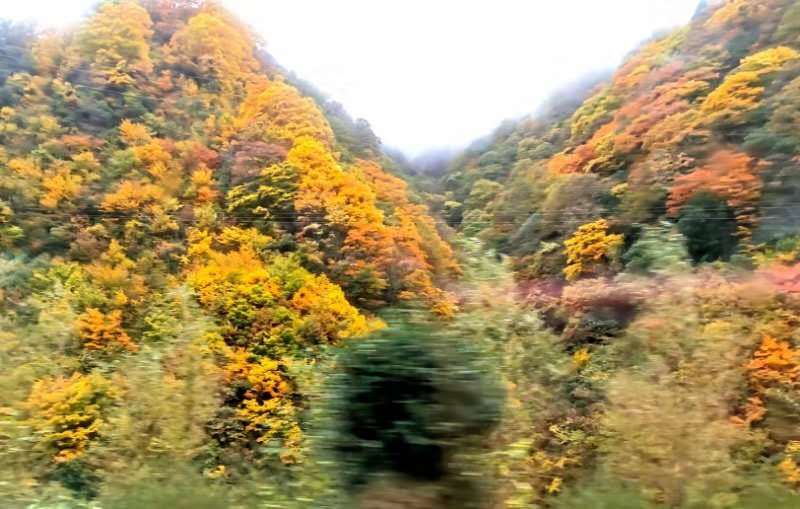 FibXYFXDlh3ll43m5fW4H3_2MVD8LUawJjbRmpHXseofAqpR6TFMs520TaRdb2uH