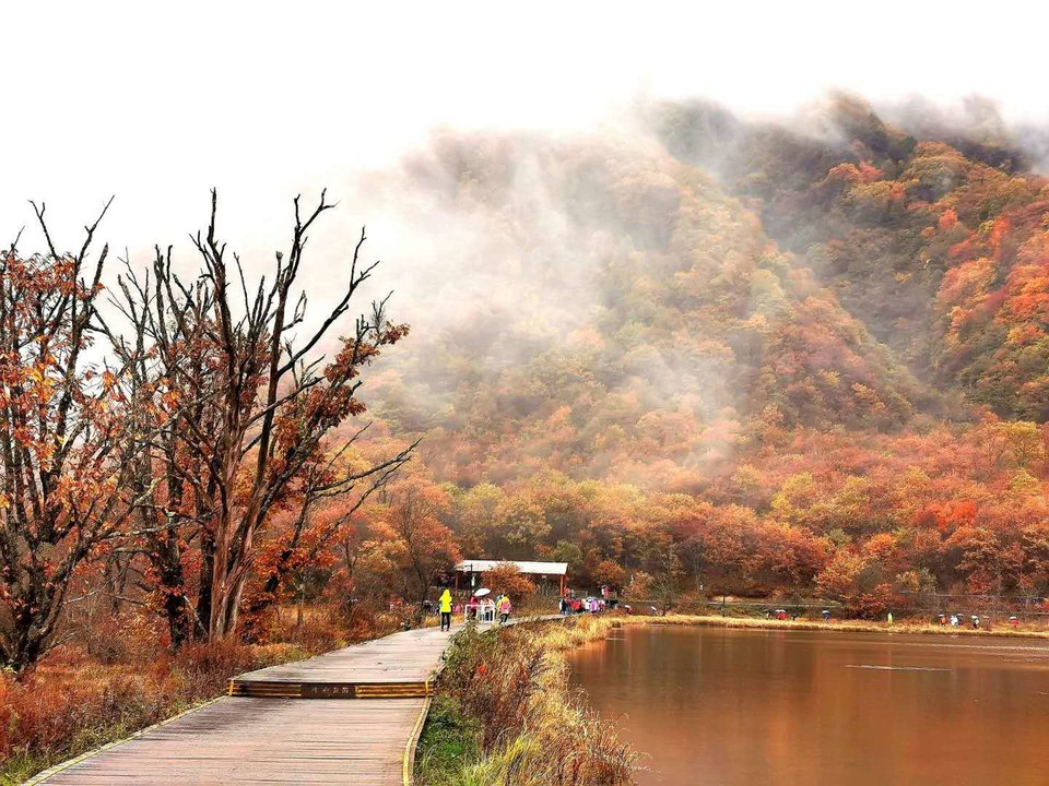 -jdQot5Bg5zelUoMSoh_oRx37MT225DNuXgKpFQPTs6b0RZ-rHgie_gOcmjHtZz7