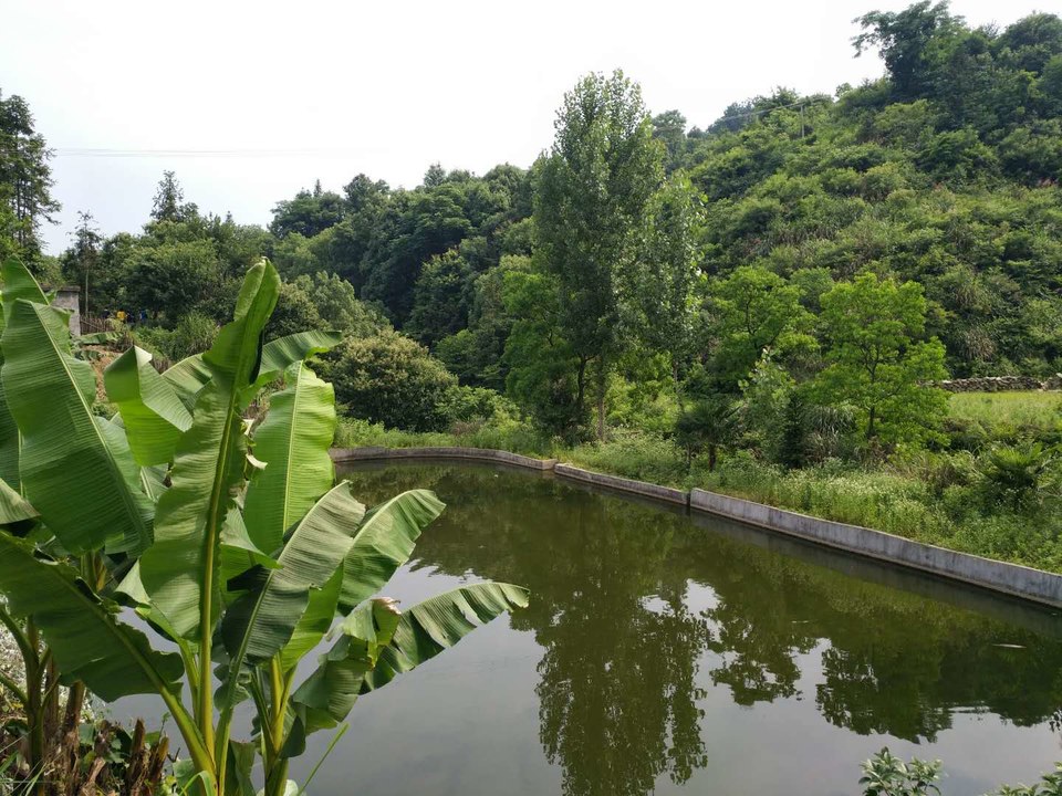 d3ioGBIm-ZPlFdnN_hqJ6CLR-DmqSS6ekNkOqee4d_SUaN7bq8Hmwe9w97njqXqQ