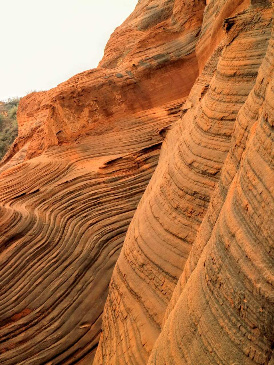 oGC0jwL4Ljzz4KrCShwQZQoAETlSB-qDMWh7NwSixItzt8jgMpseZ4Er3B8xgpfe