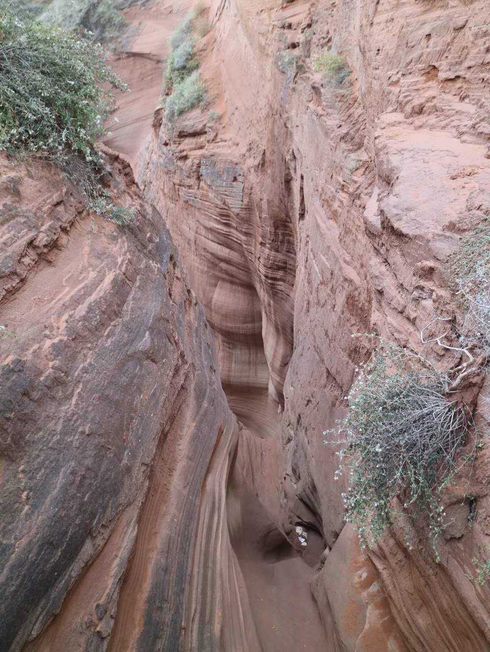 VHOhbVbnbVAZimCWi3NdhTyPfa2BlJKpRb8C9XZCFcTC6QiEln3GwWMn1BM3hVsv