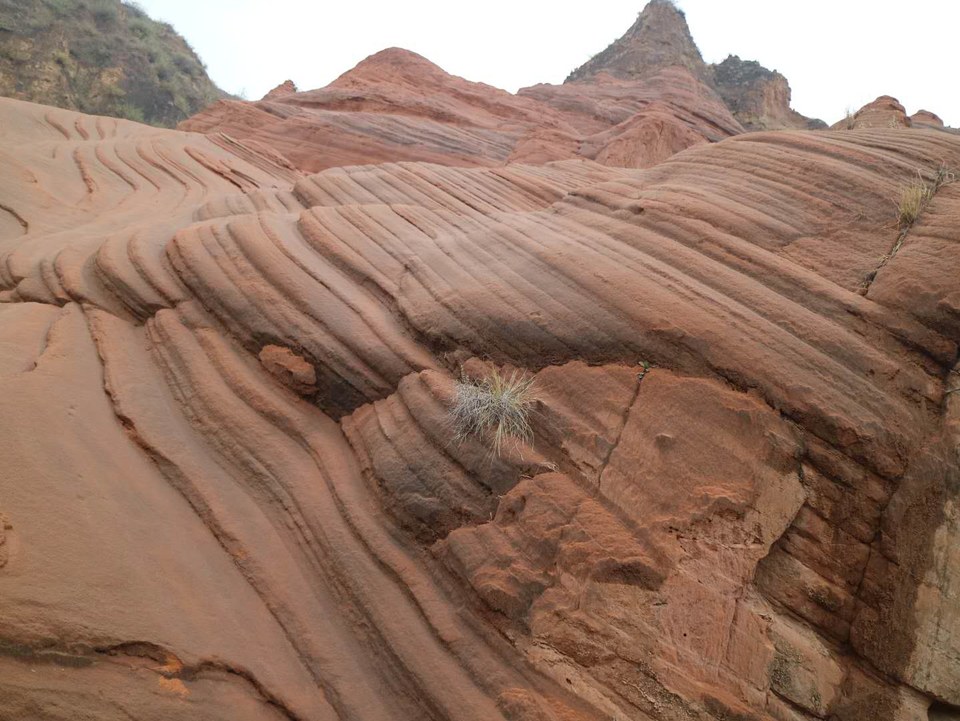 _dPUBAVoqqJCop2pr7jZv-xWx96bNN125zeC2vnI9HQBz6i4ZC8w6PmzzH3TWEyS