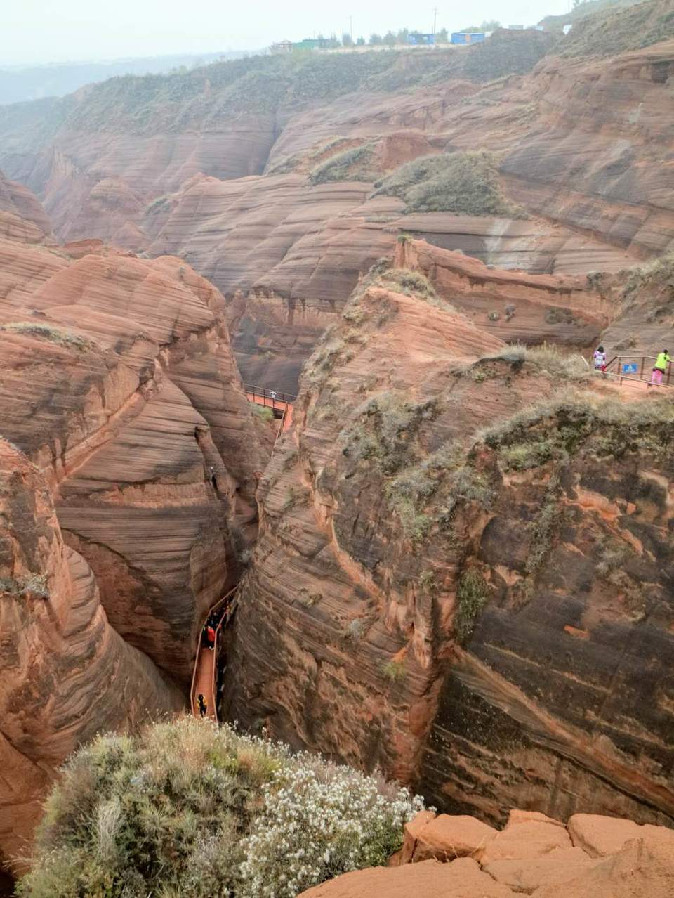 uluh5bRKrcXN5R9lmHTmcLBWWWyj4knlBpea24-3iujquZGTrrCjH0x_TACjyMN5