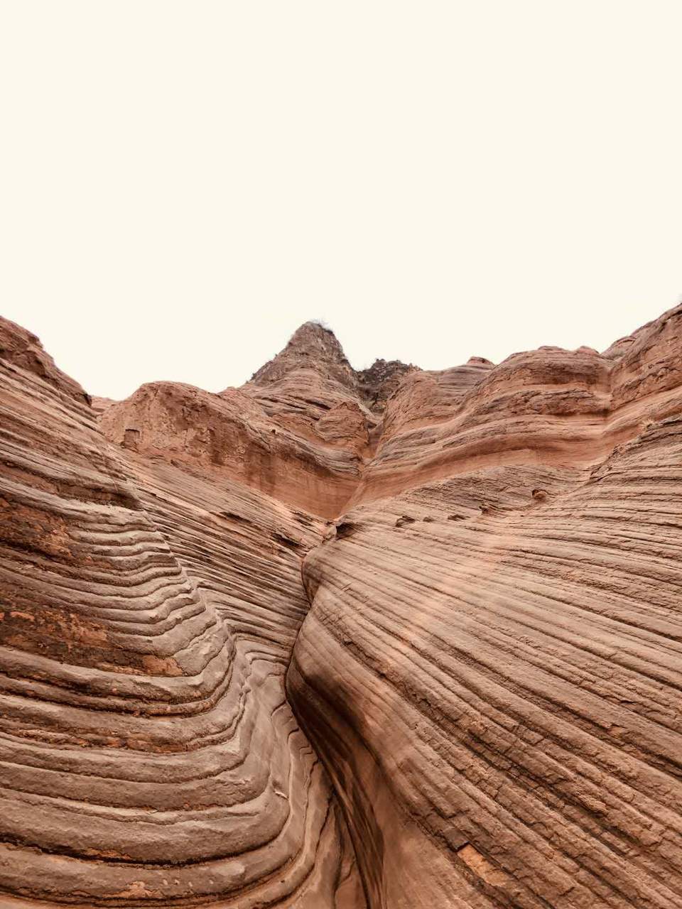 pnjIjQwZq13UCx2eZ2M6kwyxHDlRS43L990RX1T6DQa8ahQcqY-Y8DONcRRDPNrs