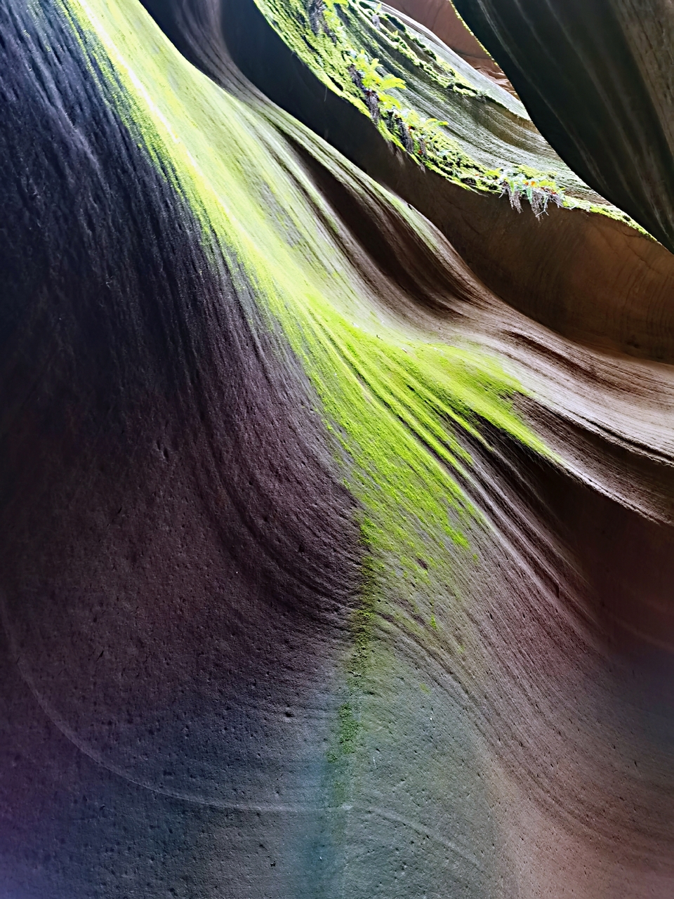 NuPJHZGm0x7rL6kMEz86sfql_1J0ygXre6amn7nj3yz0acOKIkUKRu6SiMc86DFO