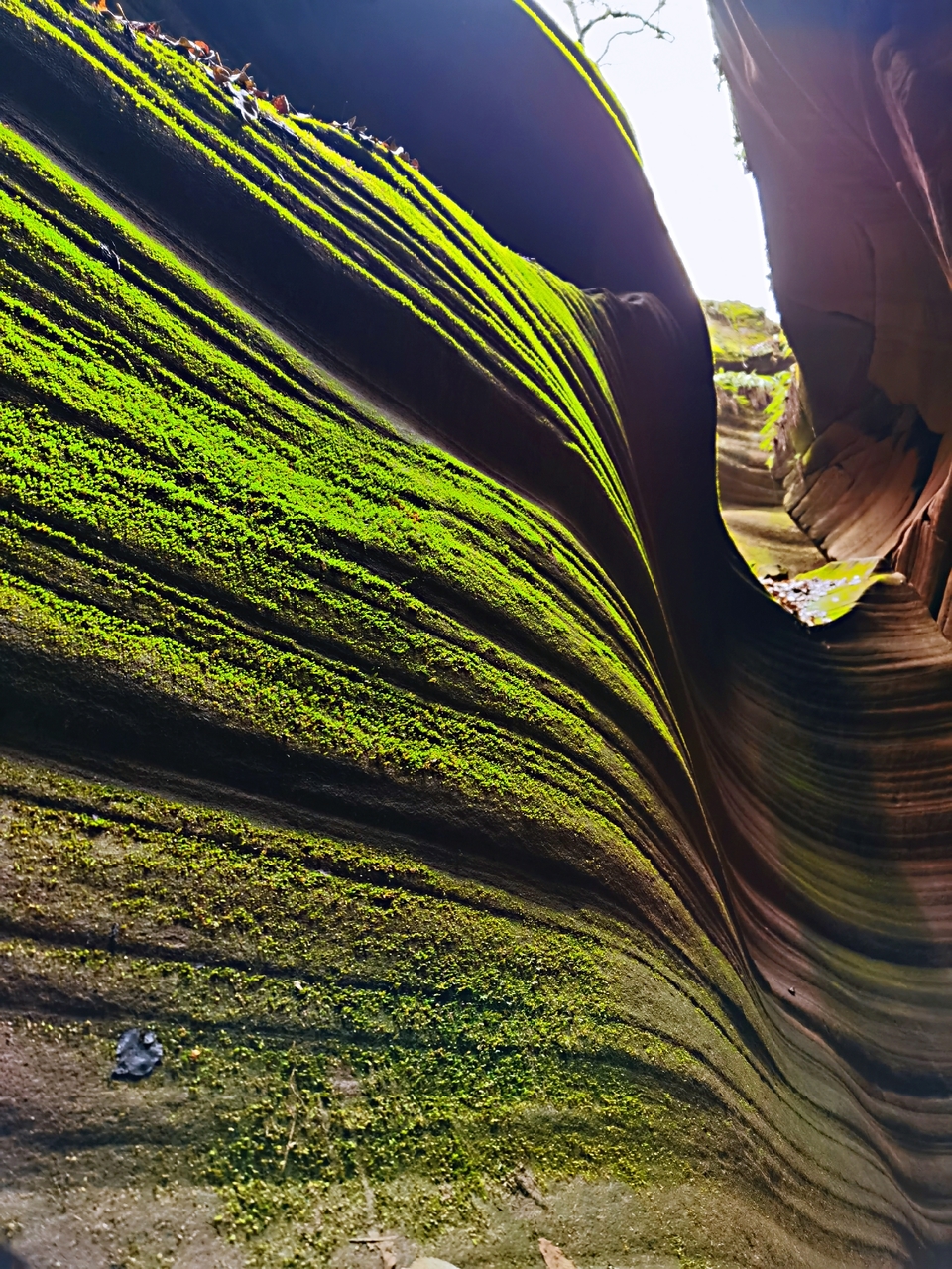 0WR2fjP2fgwqmynvFySDnz-32ZXxknFJCOzSFJ98KnlDOUWqwA3GBr-1K9fkrfNs