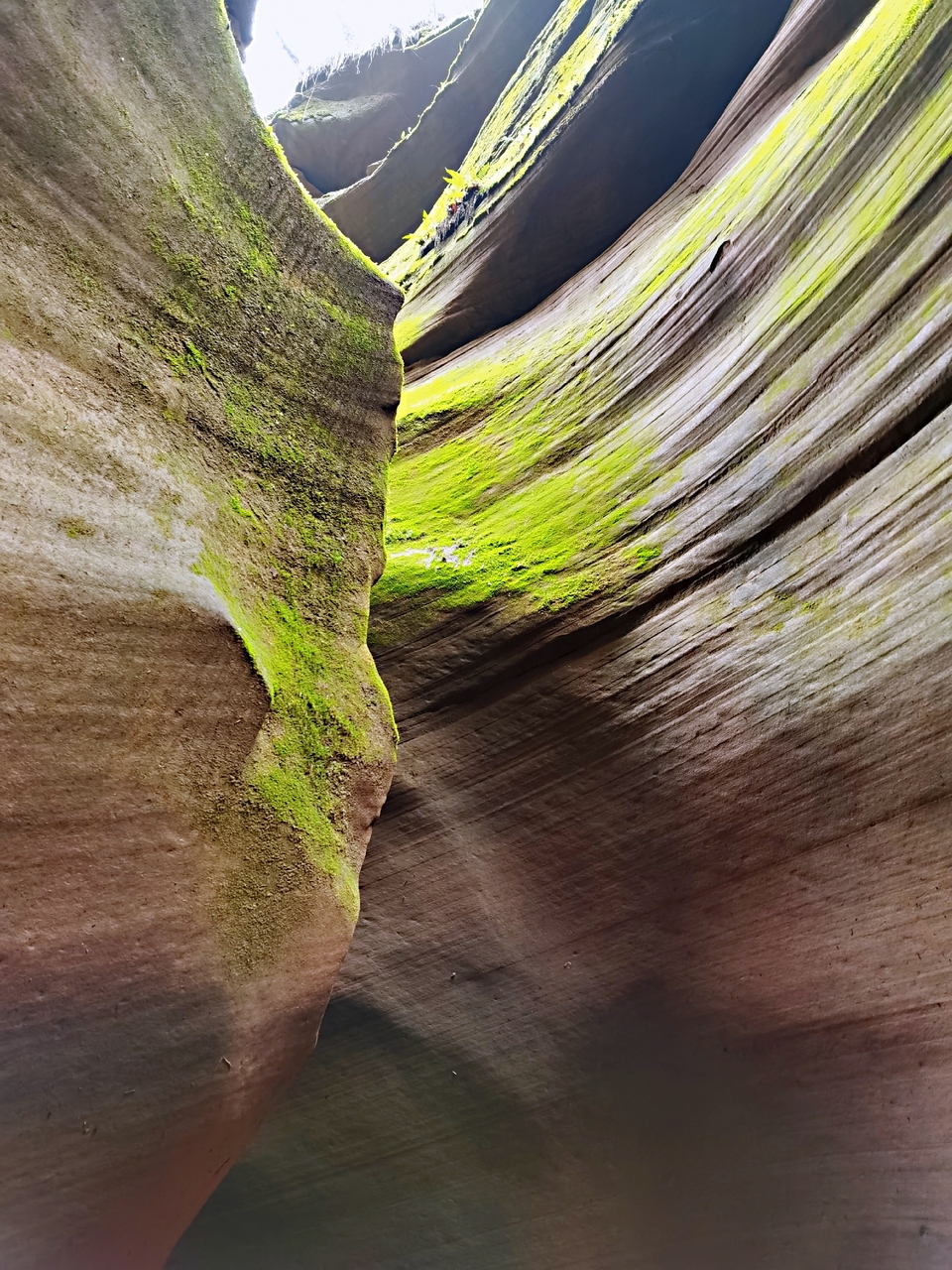 Jc1CIC51vWQ7wJaPlbG84HimV5_Vsi2frij3spB3kHIX2g39VKJ-MIZHGMw8TeVj