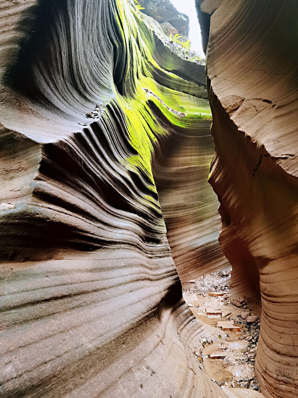 NbVX_-86W9wyjuWXRvU280Q4nASg1ANJFpVXhmtZSi6sbf1GqmFWRYfnR9PEocCG