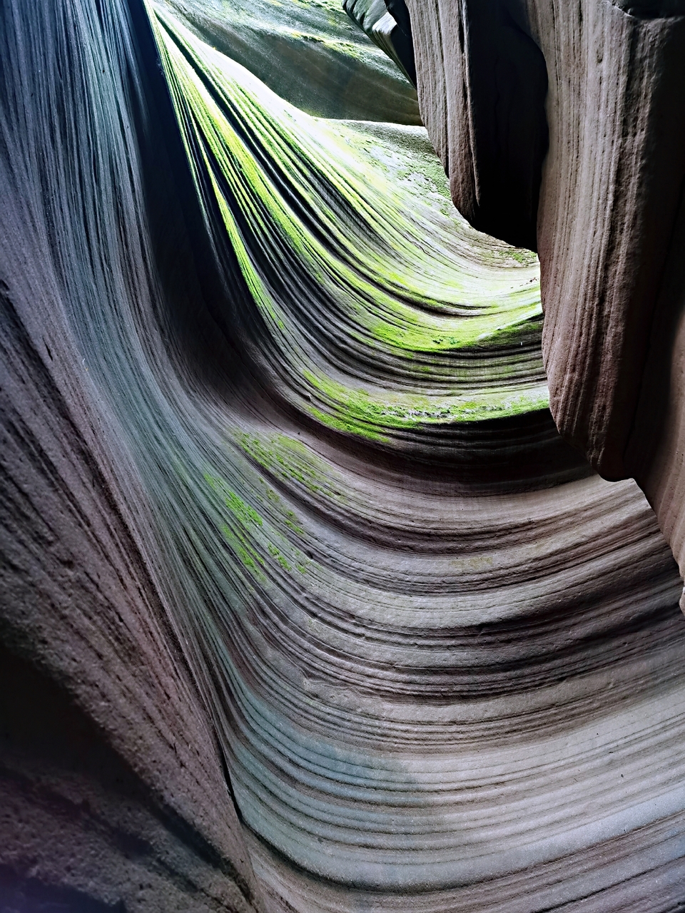 12TOF1zaf0TfVjIyrJesMUxlWKG8S_VqzqcG6au1wu5uqPfl1vozyhTdK2G1sBqn