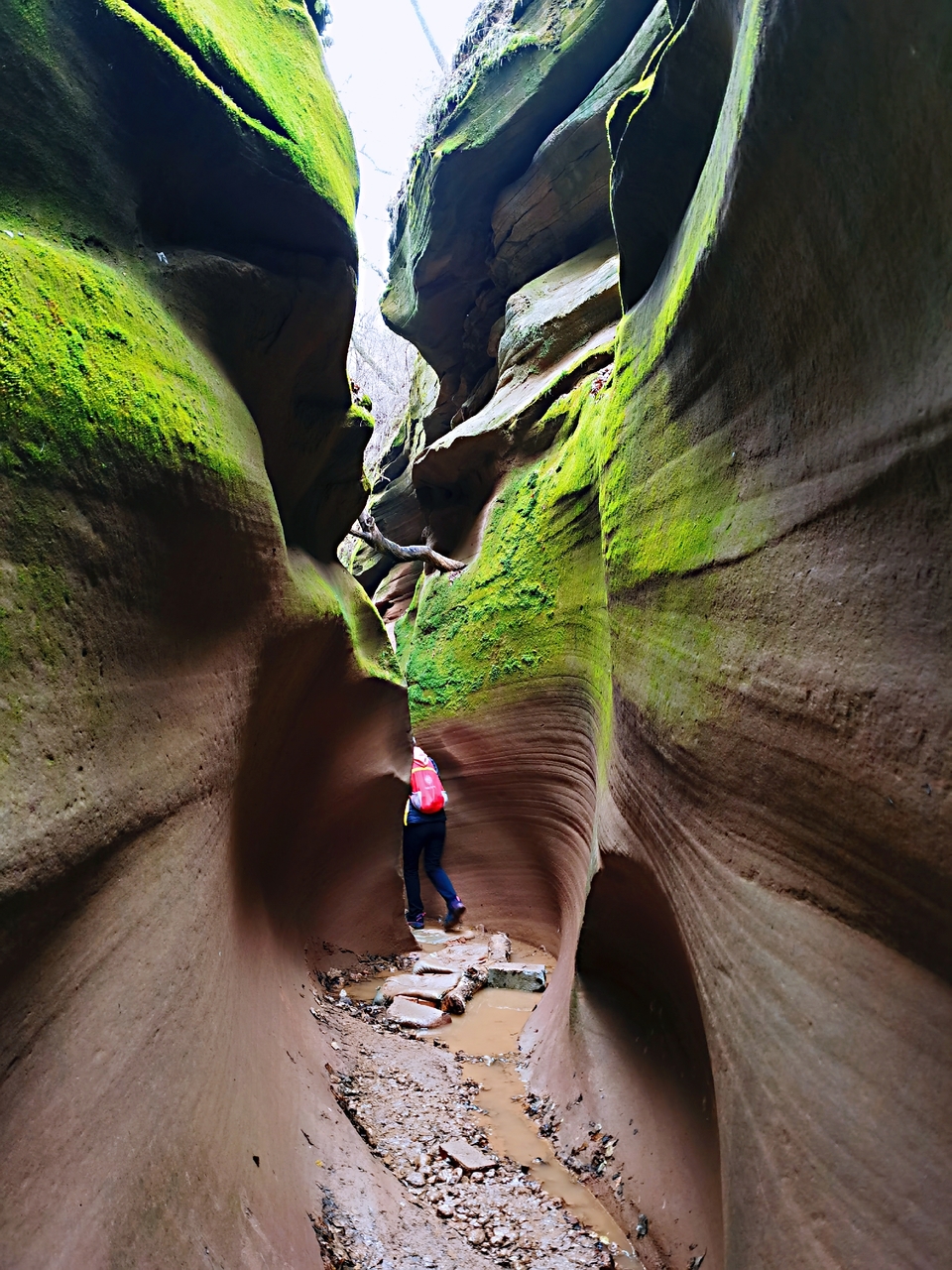 tO8ADeA_uVCIK4OUSqsuDFOnpntUdnolOCyURhlk_BKLinx23tZI2IF7Cu_HzF76