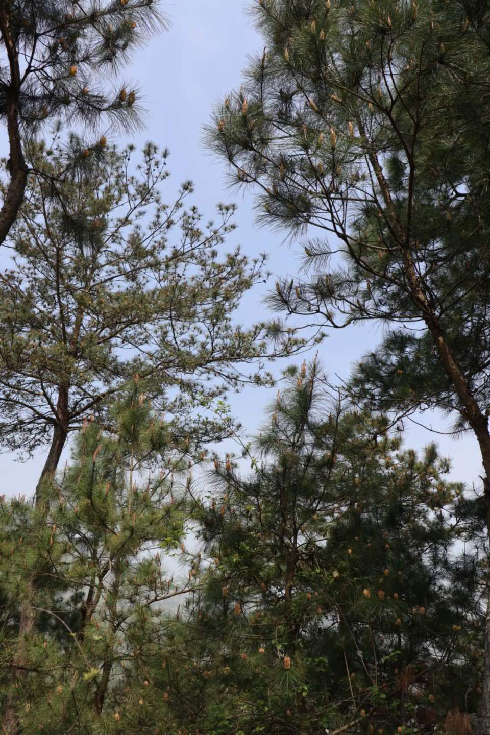 ykV0M7yPtqGHNJfIYv0Kq2yJYgroOytTnw-X9pM8rblXwW8ZRT6P-ks29WhQO9al