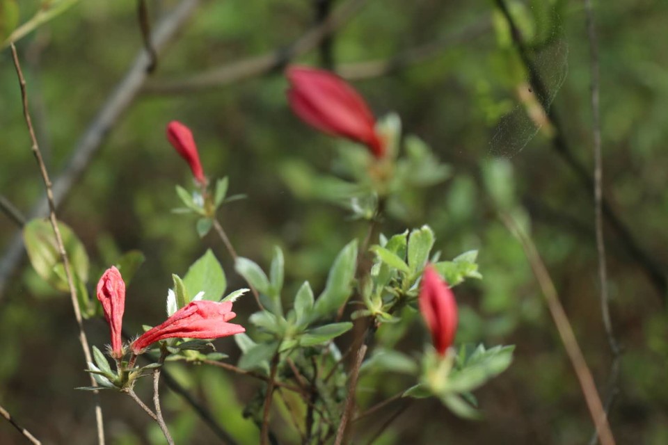 HoiPSEewv0G4_dXVszW0xXUPVp0UOZqEbrdn-8gbmbCcQndliHPsqslGneEPHoeR