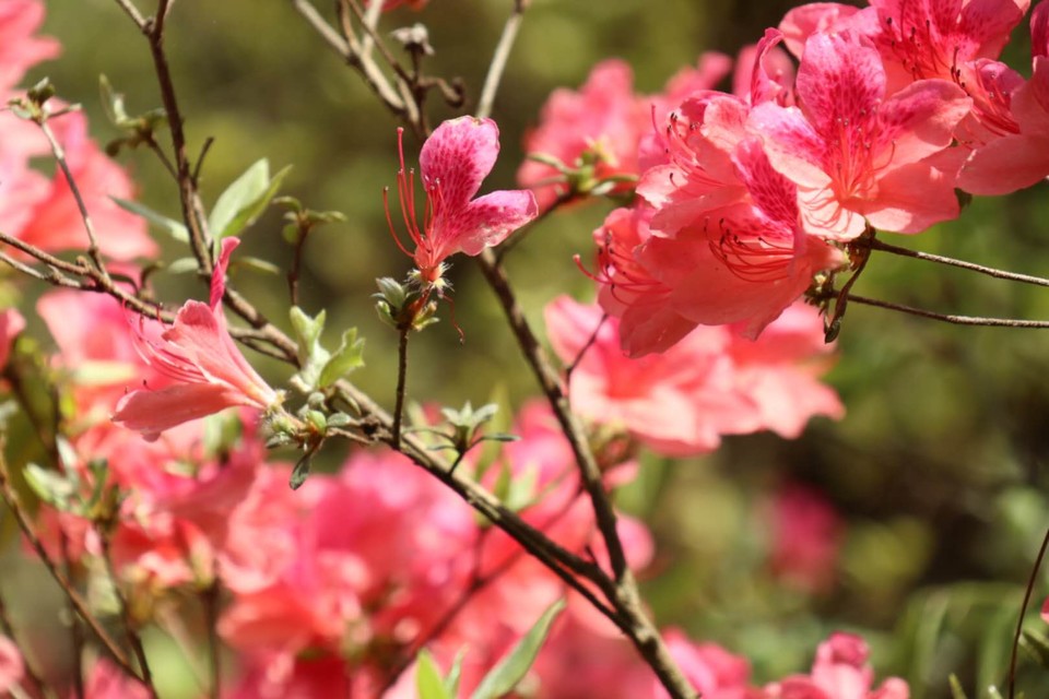 lAyX2M8sO5N1tDX9x3Pgg63NxeYsYy1zQwSHvQsNchv3MgZokXK5vBglEezAXVDH