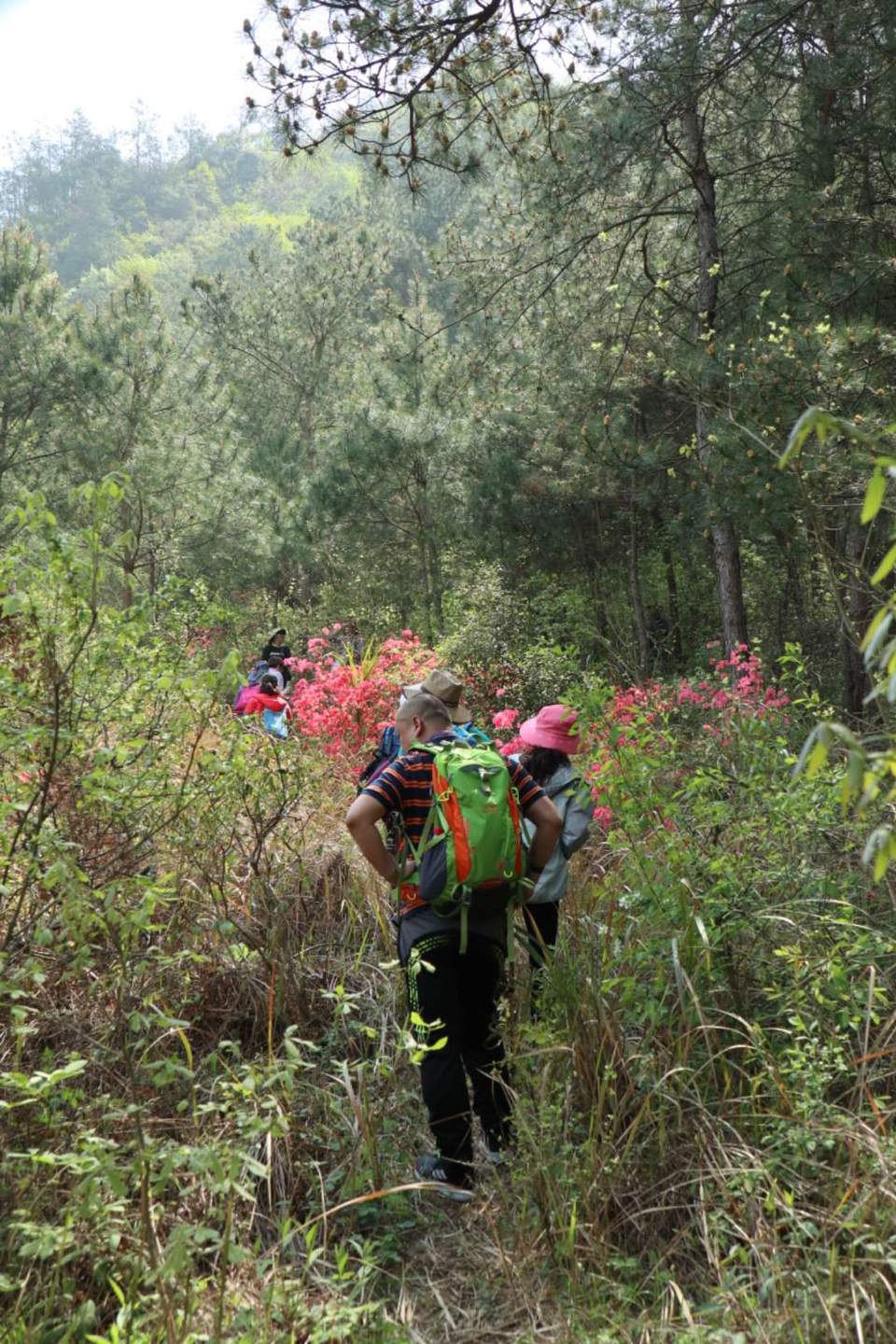 tBmPuOLOno5SLUgfR6fOY2-azNIb06FdAZdCkmNUtvwzwejFP-sG0GVIiqQ3u12f