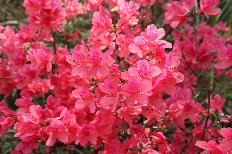 y_y8jRRSPMgJWXd2NucsDD5KFJw7mtjLGvRzXmG0CyNb3t-fT4nxXMOMyeHGQarX