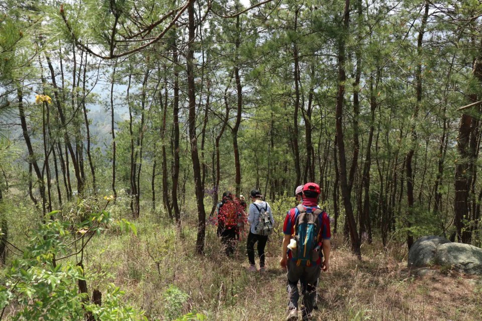 YQqrxVzZKbWIVZb78cixyo4brZA8SAd07Fq7sVZrIiPICeXnvLYrH1Lq_1Y9Irkn