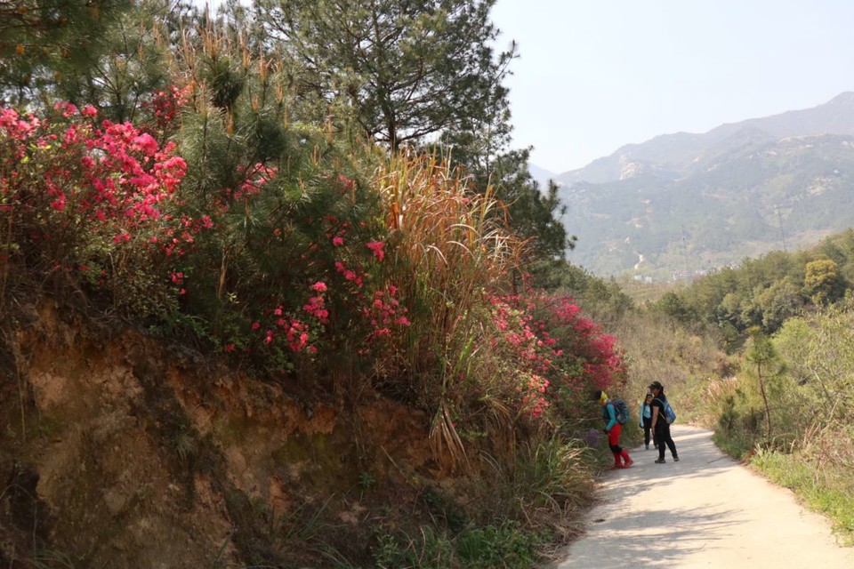 TtgsoRCUIUSn9ACHxSN3saYxF6RIgBFC8-a4o7AihQhZL8EE3lfhJez7An9TEIdn