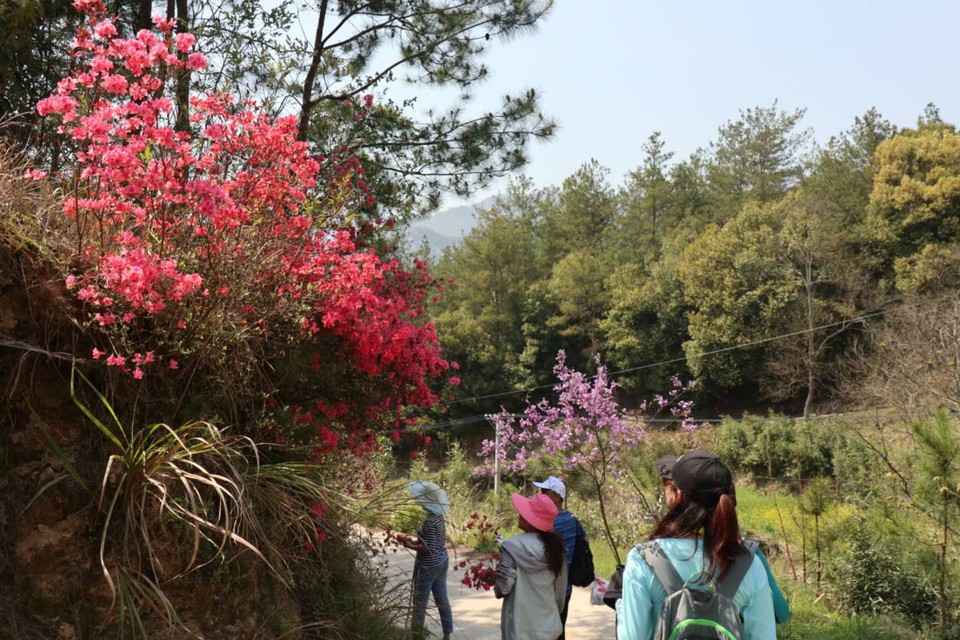 vApJ1eOn36IgC9snoZ5WD1ers6TZFvWUlZ9zJW_aK1wDNKgZCmLx_xI9ShPCEFzN