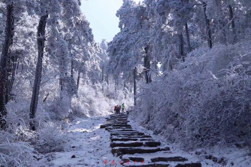 fJHdO63nFoStY16YnHpjo3pV3AzLTq1o6VWnKmWKHWrvimDM_b87sz5tfIodDwJ8