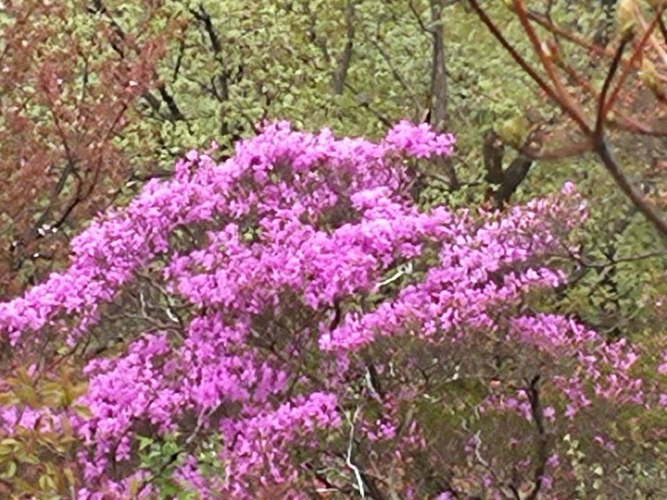 jg_sl6Zjeqc3oh6AlxACKTlj09d_WPs8hCcCIWLc9B9BR3-KQb-IFhmGElXTFqrh