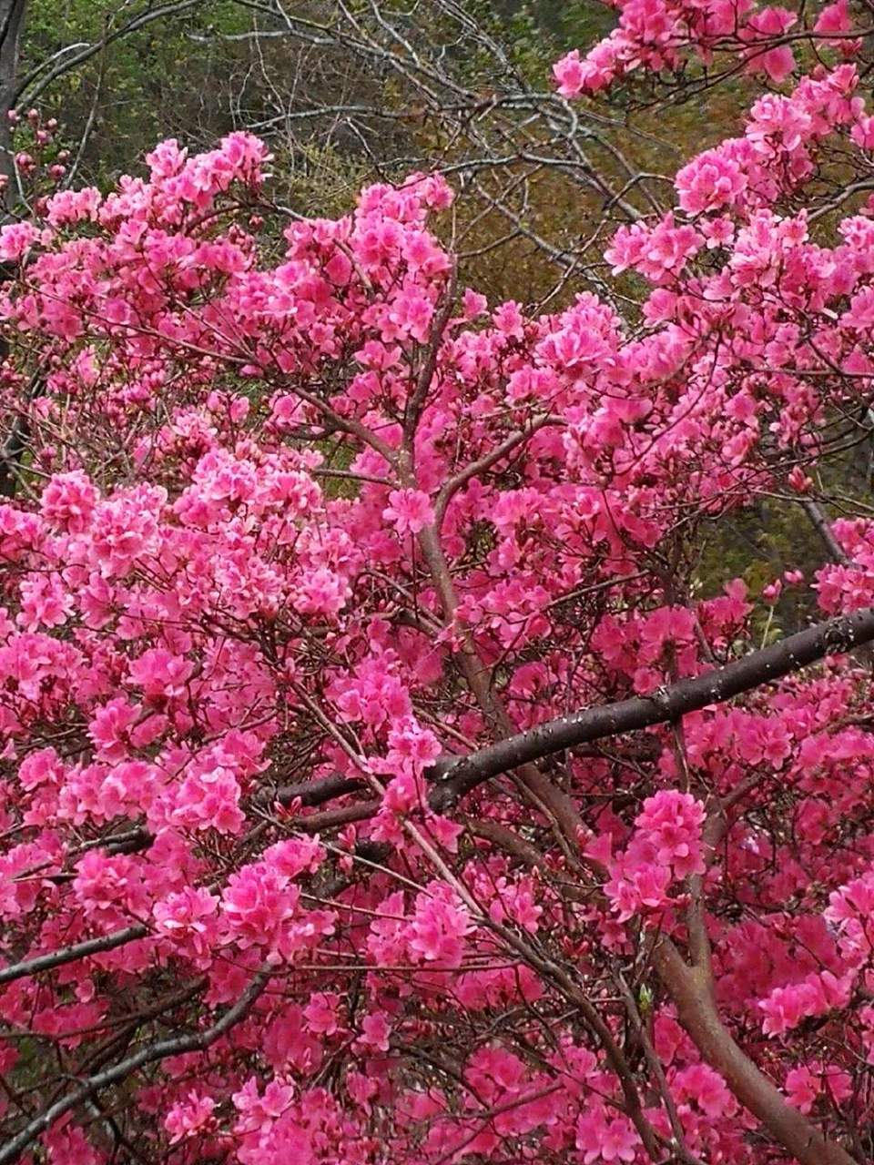 fj_TSt58zX8Dmx4lBzPCdpxIEX5pAgRSs4NdC1NCjNUtmz2vSCYZqK0hlCgn5579