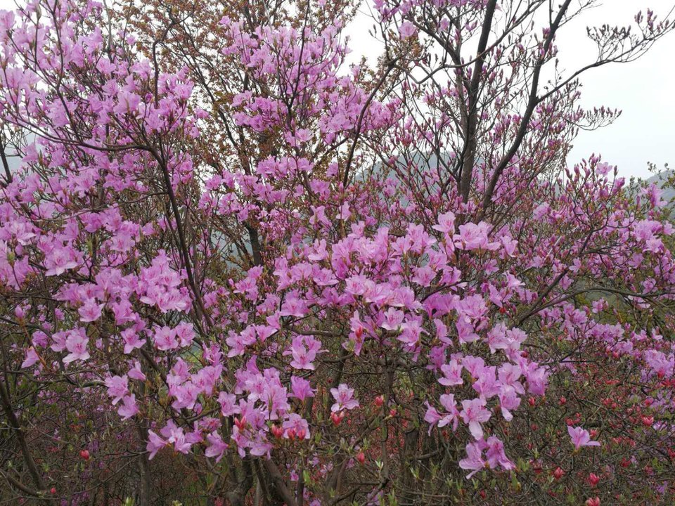 VOhgjUij8lGIlMAldXZ4bsa2-sw-WrqaPTdYBBWvQ1X0STi5w7BxvZvqCqAQLtS8