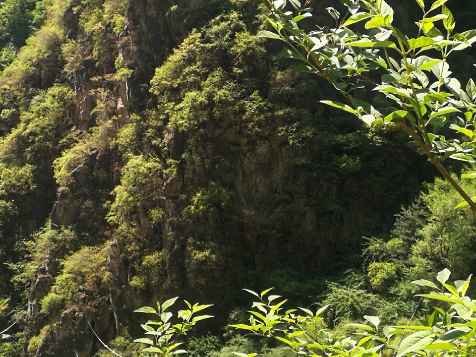 TwwDquIUY8Y3A43LXvkzAeSsiEByMWvKYKM-gUHAoZdSh9P_eCZIrolcMN0sC3YE