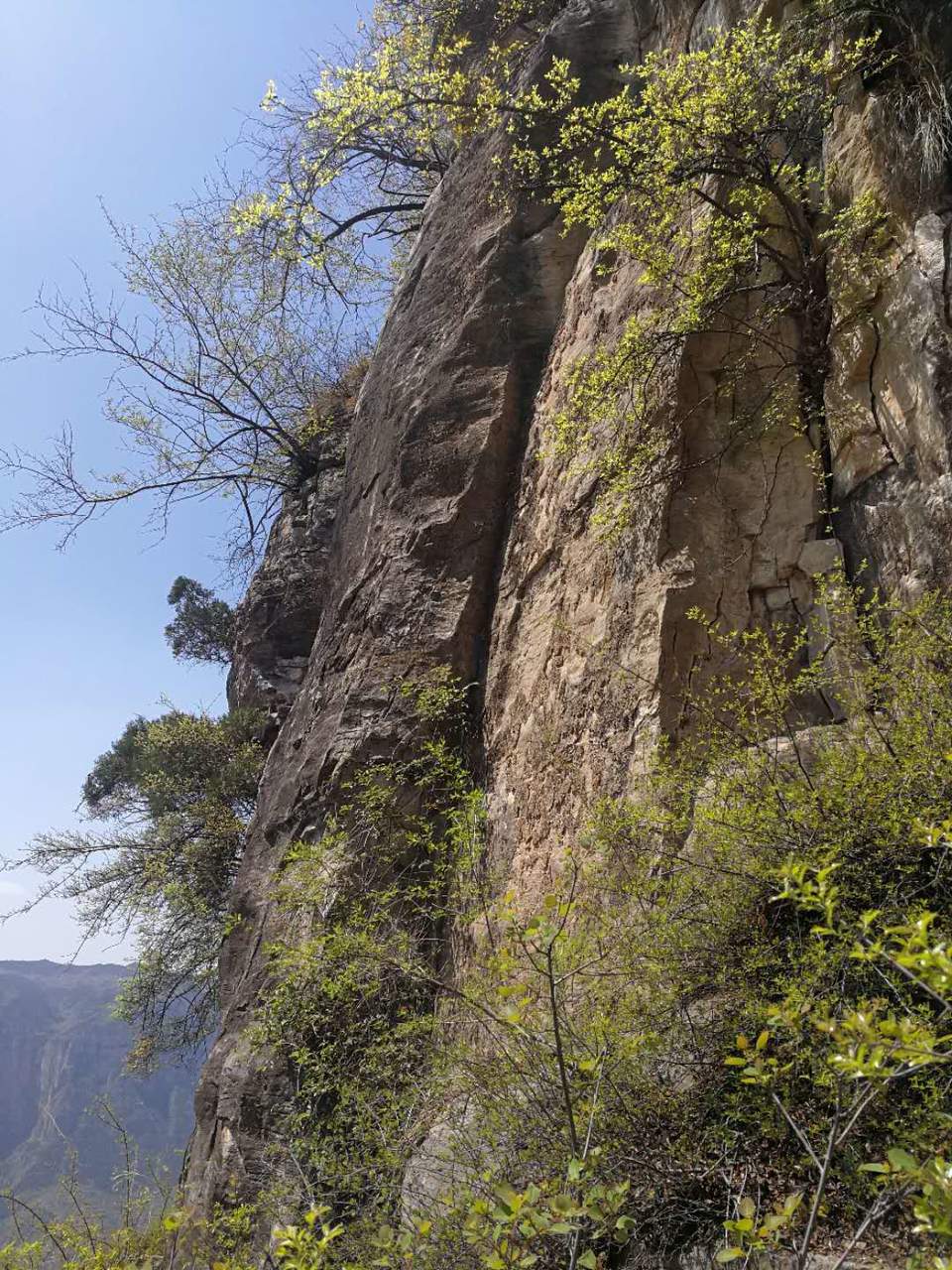 D7iTYXd_IzIZshOaCFAdAeYurN2QdBqDfCaUEBcO4YblGTgpfECnzTb6wCEerlxn