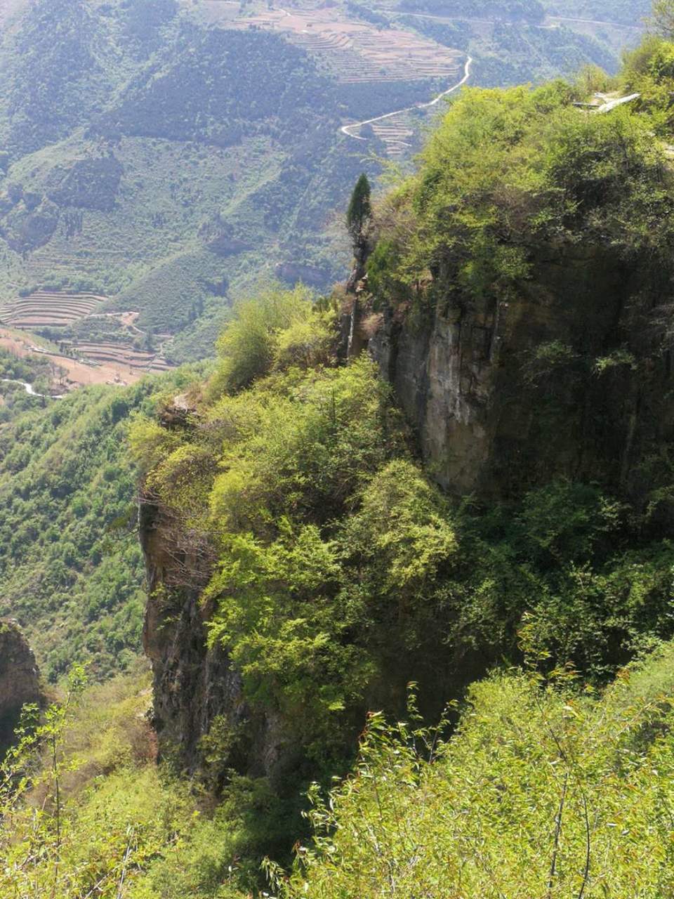 29jVYqvg-tQpiIbTAJIuSYcPVxO0bYGEQBSnWyuvnx19857_Ka-U5YIJdj0rIs60