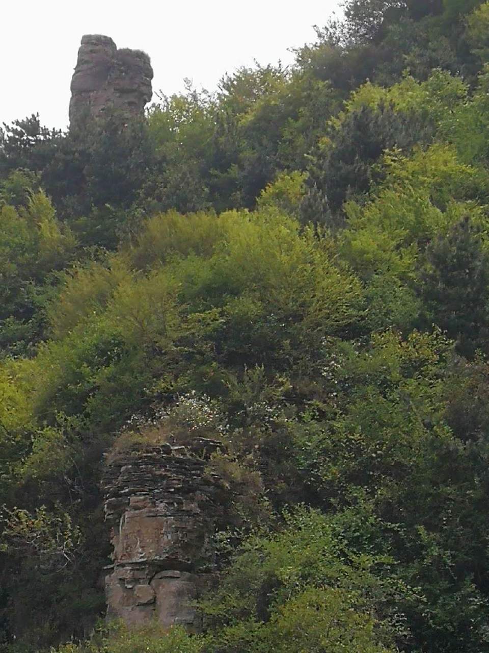 vkWE9MF3_D1VzdsRpEOqlNMdiie1GWAnSgS0LtsysPYLbx4PDAlRhDS87oAc95wS